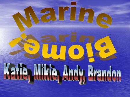 Marine ecosystems are located all over the world. Marine ecosystems are located all over the world. The largest marine ecosystem is the oceans which are.