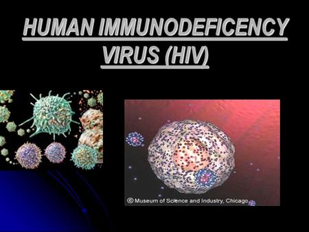 HUMAN IMMUNODEFICENCY VIRUS (HIV). INTRODUCTION HIV VIRUS IS HUMAN IMMUNODEFICENCY VIRUS IT CAUSES (ACQUIRED IMMUNODEFICENCY SYNDROME)(AIDS) HIV VIRUS.