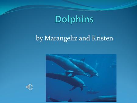 by Marangeliz and Kristen Small dolphin eat. Baby Dolphins eat squid, fish, herring, sardines and shrimp.