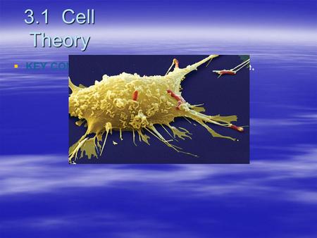 3.1 Cell Theory   KEY CONCEPT Cells are the basic unit of life.