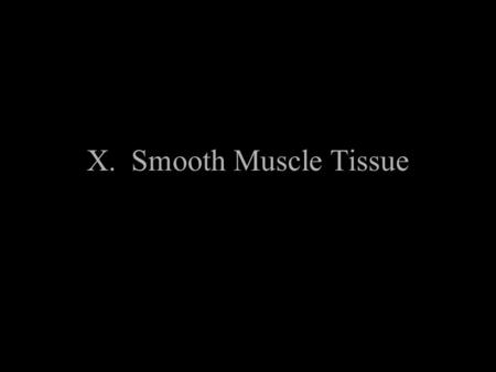 X. Smooth Muscle Tissue.