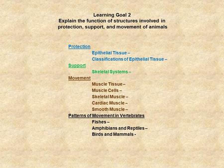 Learning Goal 2 Explain the function of structures involved in protection, support, and movement of animals Protection Epithelial Tissue – Classifications.