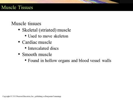 Copyright © 2005 Pearson Education, Inc., publishing as Benjamin Cummings Muscle Tissues Muscle tissues Skeletal (striated) muscle Used to move skeleton.