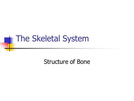 The Skeletal System Structure of Bone. Skeletal System The entire framework of bone and their associated cartilages Each individual bone is considered.