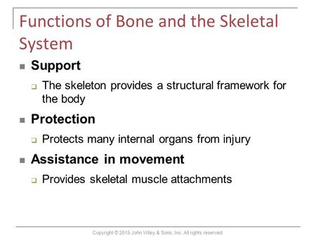 Functions of Bone and the Skeletal System Support  The skeleton provides a structural framework for the body Protection  Protects many internal organs.