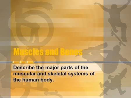 Muscles and Bones Describe the major parts of the muscular and skeletal systems of the human body.