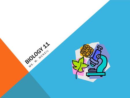 BIOLOGY 11 MS. M. MCNEIL. CLASSROOM EXPECTATIONS RESPECT  attend  be prepared  be on time  use technology appropriately  be an active learner  ask.