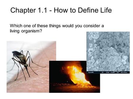 Chapter How to Define Life