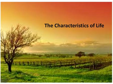 The Characteristics of Life. Notes Questions Pgs. 2-6 1.Define Organelle. 2.Define Cell. 3.Define Organism. 4.Multicellular organisms contain a hierarchy.