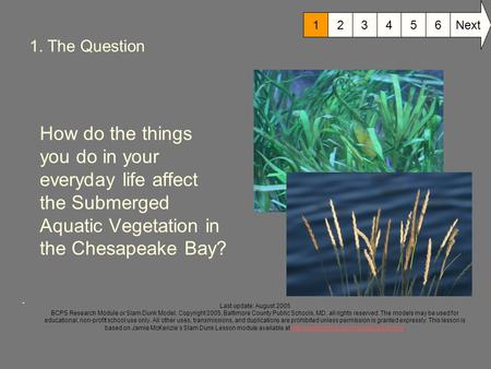 1. The Question How do the things you do in your everyday life affect the Submerged Aquatic Vegetation in the Chesapeake Bay?. 6 Next 12345 Last update: