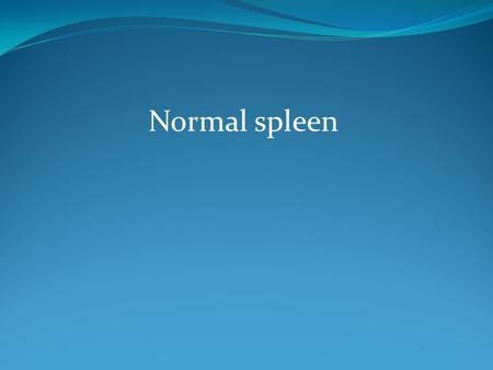 Normal spleen.