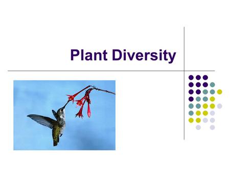 Plant Diversity. General Characteristics of Plants All plants are: Eukaryotic Autotrophic Multicellular Cell Walls with cellulose Chloroplasts w/ chlorophyll.