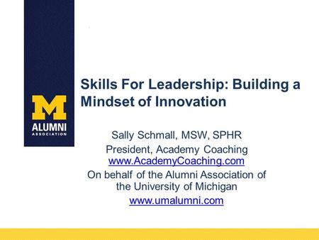 Skills For Leadership: Building a Mindset of Innovation Sally Schmall, MSW, SPHR President, Academy Coaching www.AcademyCoaching.com www.AcademyCoaching.com.