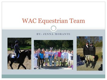 BY: JENNA MORANTE WAC Equestrian Team. Why The Equestrian Team? I chose to do my final project on the WAC Equestrian Team because It’s something I enjoy.