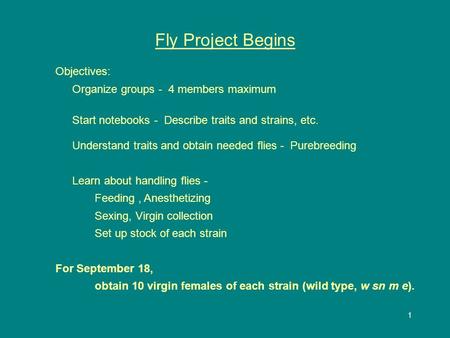 1 Fly Project Begins Objectives: Organize groups - 4 members maximum Start notebooks - Describe traits and strains, etc. Understand traits and obtain needed.