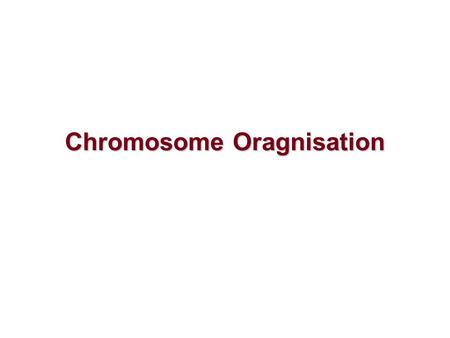 Chromosome Oragnisation. What chromosome is made of? - chromosome is made of chromatin (nucleic acid and protein). - when in mitotic and meiotic stages.