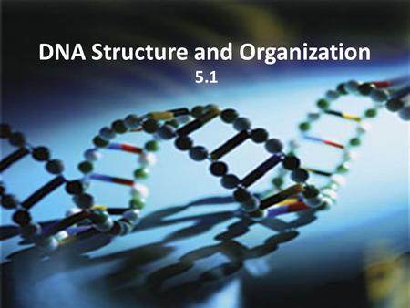 DNA Structure and Organization 5.1. What is DNA? DNA = deoxyribonucleic acid The discovery of DNA and its role in genetics unfolded over many years...