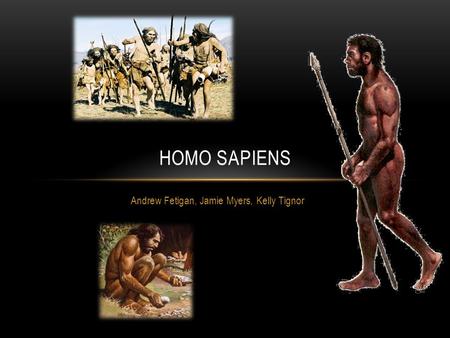 Andrew Fetigan, Jamie Myers, Kelly Tignor HOMO SAPIENS.