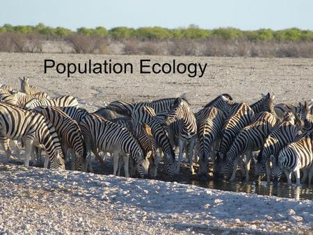 Population Ecology. Population Def. a group of individuals of a __________ species living in the same area Characteristics of a popl’n 1)Size 2)Density.