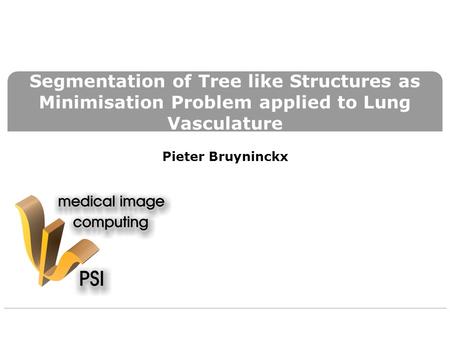 Segmentation of Tree like Structures as Minimisation Problem applied to Lung Vasculature Pieter Bruyninckx.