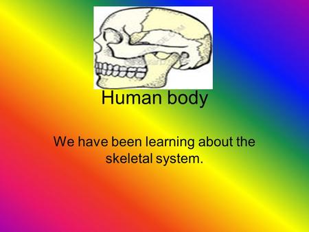 We have been learning about the skeletal system.