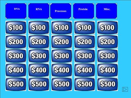 Processes DNA RNAMisc.Protein What is the base pair rule? Why is it important.