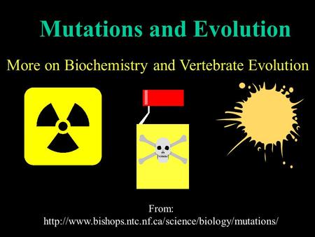 Mutations and Evolution More on Biochemistry and Vertebrate Evolution From: