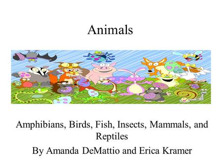 Animals Amphibians, Birds, Fish, Insects, Mammals, and Reptiles