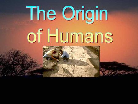 Three Eras of Human History Era 1: Foraging250,000 – 8,000 BCEMost of human history; small communities; global migrations megafaunal extinctions slow.