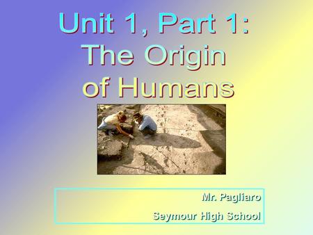 Mr. Pagliaro Seymour High School Mr. Pagliaro Seymour High School.