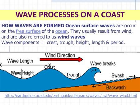 WAVE PROCESSES ON A COAST HOW WAVES ARE FORMED Ocean surface waves are occur on the free surface of the ocean. They usually result from wind, and are also.