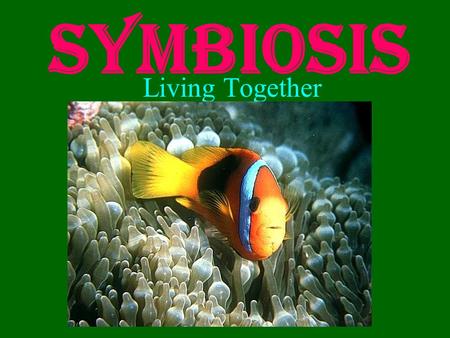 Symbiosis Living Together. What is Symbiosis? Literal definition: the act of living together What it means: –Two organisms that live together –Temporarily.