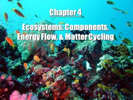 Chapter 4 Ecosystems: Components, Energy Flow, & Matter Cycling © Brooks/Cole Publishing Company / ITP.