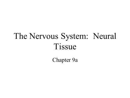 The Nervous System: Neural Tissue