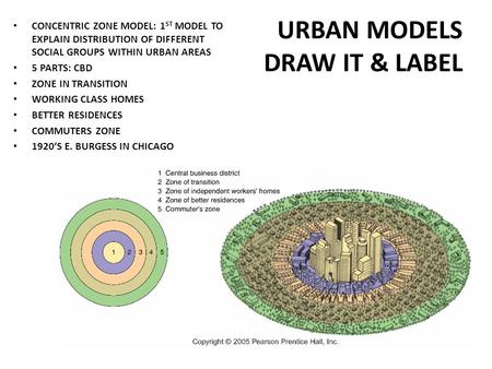 URBAN MODELS DRAW IT & LABEL CONCENTRIC ZONE MODEL: 1 ST MODEL TO EXPLAIN DISTRIBUTION OF DIFFERENT SOCIAL GROUPS WITHIN URBAN AREAS 5 PARTS: CBD ZONE.