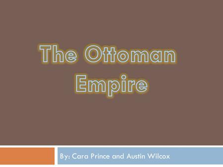 By: Cara Prince and Austin Wilcox. Social  Suleyman created a law code to handle both criminal and civil actions.  He also simplified and limited taxes,