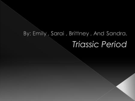  The Triassic time period was 248 to 206 million years ago.