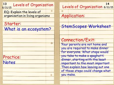 Starter: What is an ecosystem? Application: StemScopes Worksheet