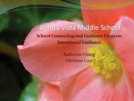 School Counseling and Guidance Program Intentional Guidance Katherine Chang Christine Cura Bonita Vista Middle School.