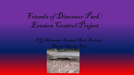 Friends of Dinosaur Park : Erosion Control Project BY: Aleksander, Enshaal, Noah, Anthony, Haseeb, Alondra, Erin.