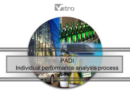 PADI Individual performance analysis process. Guidelines for 2010 Creating your PADI: Process description PADI Structure Individual Goal Setting Using.