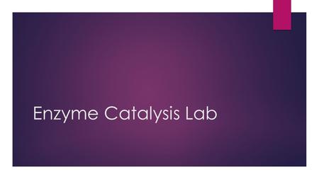 Enzyme Catalysis Lab. Materials – at lab station 20 small cups 3 large cups 4 syringes Piece of white paper Dropper Glass beaker Test tube Test tube holder.