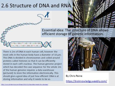 2.6 Structure of DNA and RNA