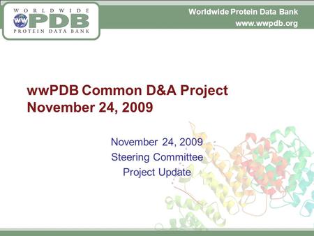 Worldwide Protein Data Bank www.wwpdb.org wwPDB Common D&A Project November 24, 2009 November 24, 2009 Steering Committee Project Update.