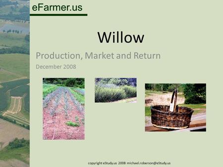 EFarmer.us Willow Production, Market and Return December 2008 copyright eStudy.us 2008