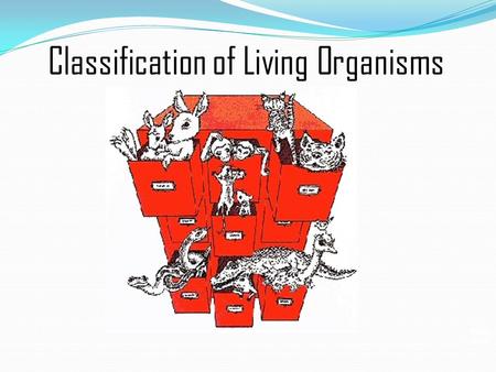 Slide 1 of 26 Classification of Living Organisms.