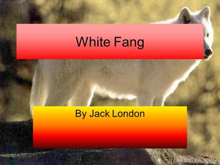 White Fang By Jack London.