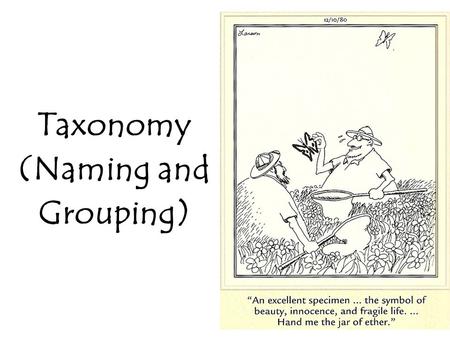 Taxonomy (Naming and Grouping). Why is a naming system important? Have you seen a… Florida panther? Cougar? Mountain lion? Catamount? Puma? They are all.