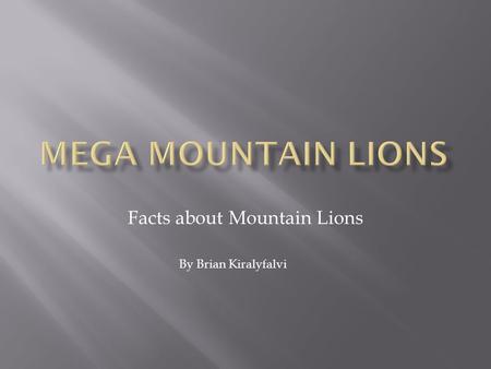 Facts about Mountain Lions