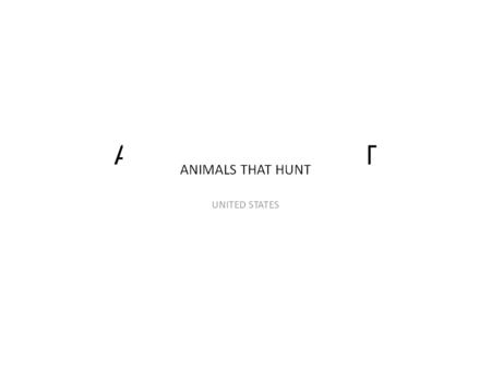 ANIMALS THAT HUNT UNITED STATES. THREE MAIN HUNTERS.